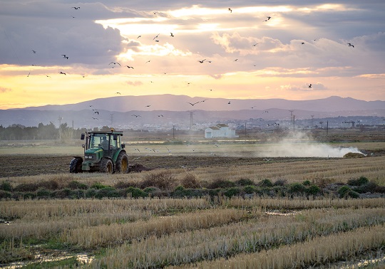 Imagen de la Huerta. Un tractor labrando la tierra